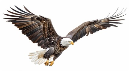 Naklejka premium majestic bald eagle in flight against pure white background powerful wings spread wide capturing intricate feather detail symbol of freedom and strength in clean iconic style