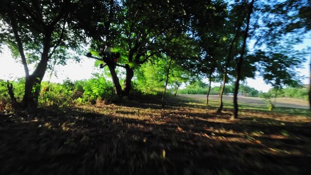 The camera chase follows an fpv racing drone performing manvra stunts while flying over a green field with a rural road under a blue sky with a first person view of the clouds. Aerial view.