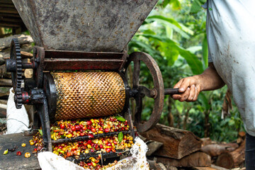 Farmer man pulping Colombian coffee beans with a pulper on a farm