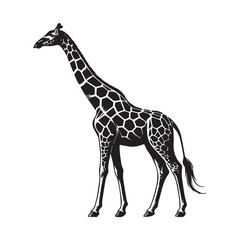 Naklejka premium Giraffe Outline Design, Giraffa Clipart, A Skyward Neck Giraffe Illustration black and white 