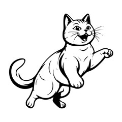 cat jumping 