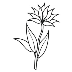 Flower Drawing Silhouette Design Vector Illustration Clipart Eps