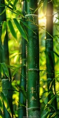 Lush green bamboo forest bathed in soft sunlight with delicate leaves swaying gently in the breeze