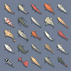 cute cartoon top view of fish illustration isolated on blue background.