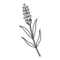 Flower Drawing Silhouette Design Vector Illustration Clipart Eps