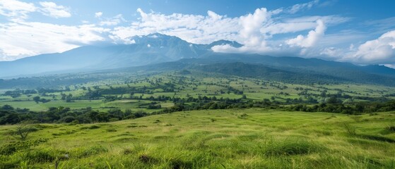  A verdant field, dotted with grasses and foliage, extends before a towering mountain backdrop Clouds scatter above the mountaintop, painting the sky with fluffy