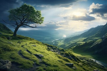 Beautiful landscape nature outdoors plant.