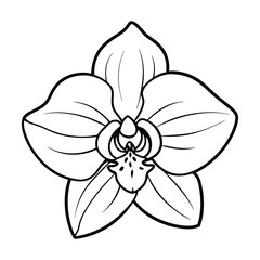 Flower Drawing Silhouette Design Vector Illustration Clipart Eps