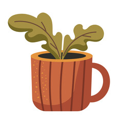 Houseplant in a clay pot.