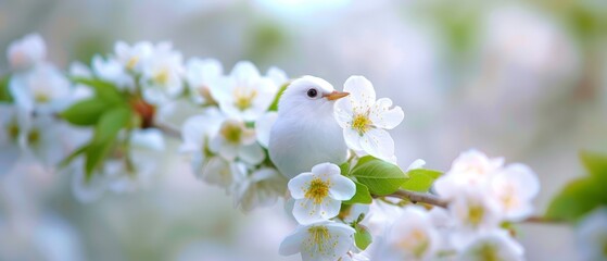 Obraz premium A white bird perches on a branch, surrounded by white flowers in the foreground, and verdant green leaves in the background
