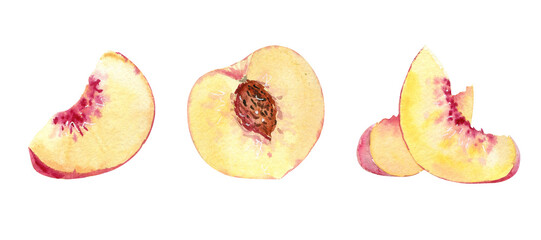 Watercolor hand drawing peach fruit slice set