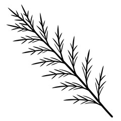 Cypress leaves on one twig make line art vector