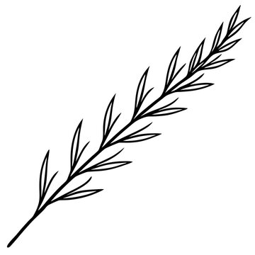 black line art plant stem clip art preview