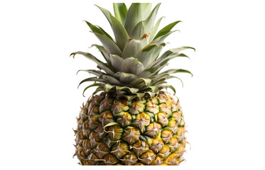 Fototapeta premium pineapple isolated on white