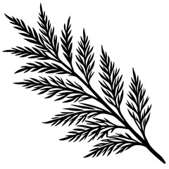 Cypress black leaves on one twig make art vector