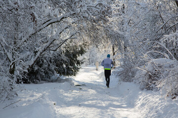 Onset of winter in the English Garden in Munich, Bavaria, Germany: Running man under snowy trees - jogging in the beautiful snowy landscape on a sunny December day