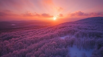 A breathtaking winter sunset over a snow-covered forest in Bieszczady, Poland, with the sky painted in shades of pink and orange.