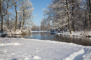 Onset of winter in the English Garden in Munich, Bavaria, Germany: Beautiful snowy landscape with autumn leaves at the Kleinhesseloher See, a lovely lake at the centre of the park.