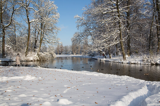 Onset of winter in the English Garden in Munich, Bavaria, Germany: Beautiful snowy landscape with autumn leaves at the Kleinhesseloher See, a lovely lake at the centre of the park.