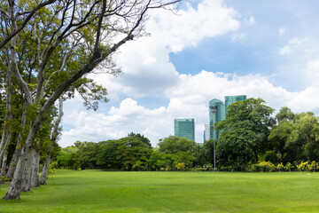 Scenic view of the park with green grass field in city and a cloudy blue sky background. Beautiful green park