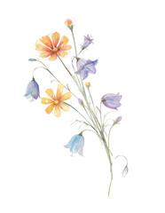 Obraz premium Hand drawn watercolor bouquet of bluebell flower, yellow cosmea, daisy, buds and leaves illustration