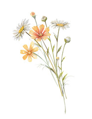 Fototapeta premium Hand drawn watercolor bouquet of yellow cosmea, white chamomile, daisy, buds and leaves illustration