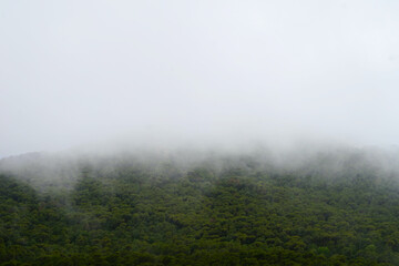 misty morning in the forest with mountains, Catalonia, Pals, Spain, weather, climate