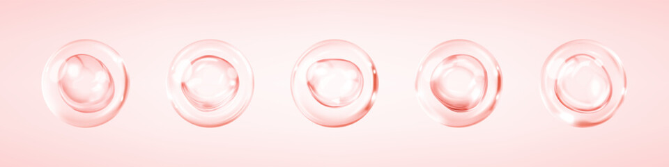 Transparent pink liquid bubbles. Collagen serum bubbles. Cosmetic essence. Concept skin care cosmetics solution. Vector 3d illustration