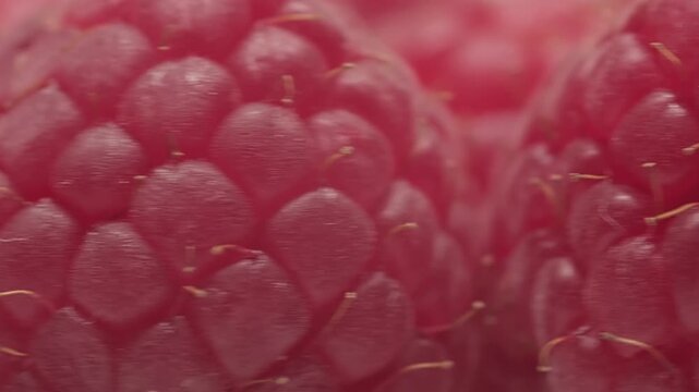 Close-up Juicy and tasty raspberries, rich in vitamins