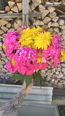 Mixed summer flowers 