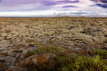 Lavafield, Iceland 