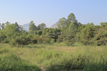 a nature view at hong kong kwun tong Oct 17 2015
