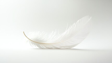 Obraz premium A single white feather on a white background. Delicate and soft.