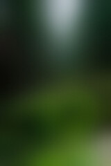 Gradient background: Nature's Palette:  tranquility of nature with this soothing gradient. The transition from deep forest green to misty gray evokes the peaceful ambiance of a misty forest