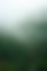 Gradient background: Nature's Palette:  tranquility of nature with this soothing gradient. The transition from deep forest green to misty gray evokes the peaceful ambiance of a misty forest