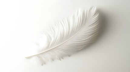 Obraz premium Single white feather, delicate texture, soft and fluffy, pure white background, copy space for text, minimalist composition, high resolution, macro photography.