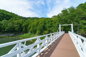 Fototapeta premium 神居古潭（かむいこたん）・神居大橋 北海道旭川の観光地