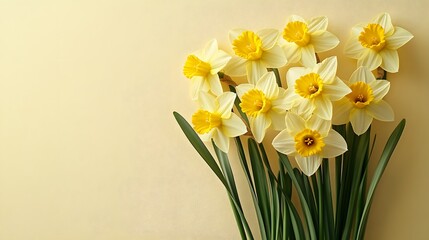 Yellow daffodils, fresh spring flowers, green stems, pale yellow background, copy space for text, flat lay photography, high resolution, springtime theme.