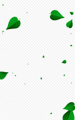 1600x2560-06__list_2_01.eps