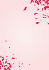 Pink_Petal_Flying_Vector_967.eps