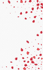 Red_Rose_Petal_Transparent_Background_242.eps