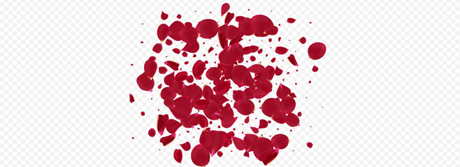 Red_Petal_Vortex_Flying_Vector_Transparent_Background_28.eps