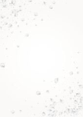 White_petals_gray_background_115.eps
