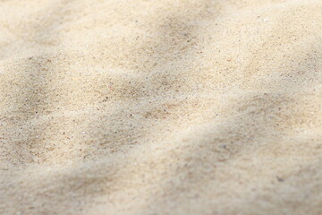 Selective focus of summer and holiday backgrounds concepts with shadow of coconut leaf