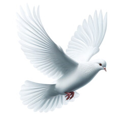 Fototapeta premium White dove of peace isolated on transparent background PNG Image, world peace day
