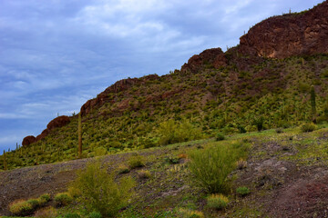 Sonora Desert Arizona Picacho Peak State Park