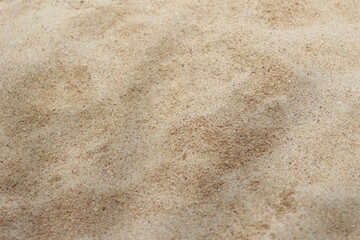 photo of beach sand.
