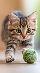 A playful kitten chasing a ball of yarn, completely absorbed in the activity, with no awareness of the camera, highlighting its curious and energetic personality
