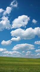 Obraz premium field and sky.