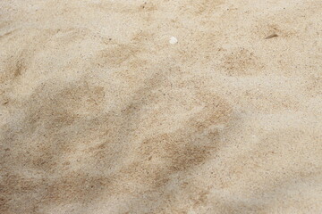 photo of beach sand.